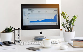 米兰体育官方网站-墨西哥马术协会建立马匹基因数据库，促进马匹选育与训练。，墨西哥马西亚斯