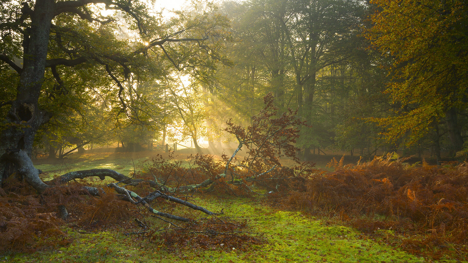 PSG.LGD新人选手表现抢眼，lgd战队前面的psg什么意思