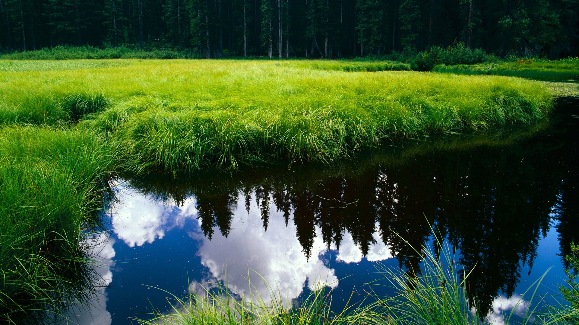 欧洲足球冠军联赛淘汰赛阶段精彩继续，2021欧洲杯淘汰球队