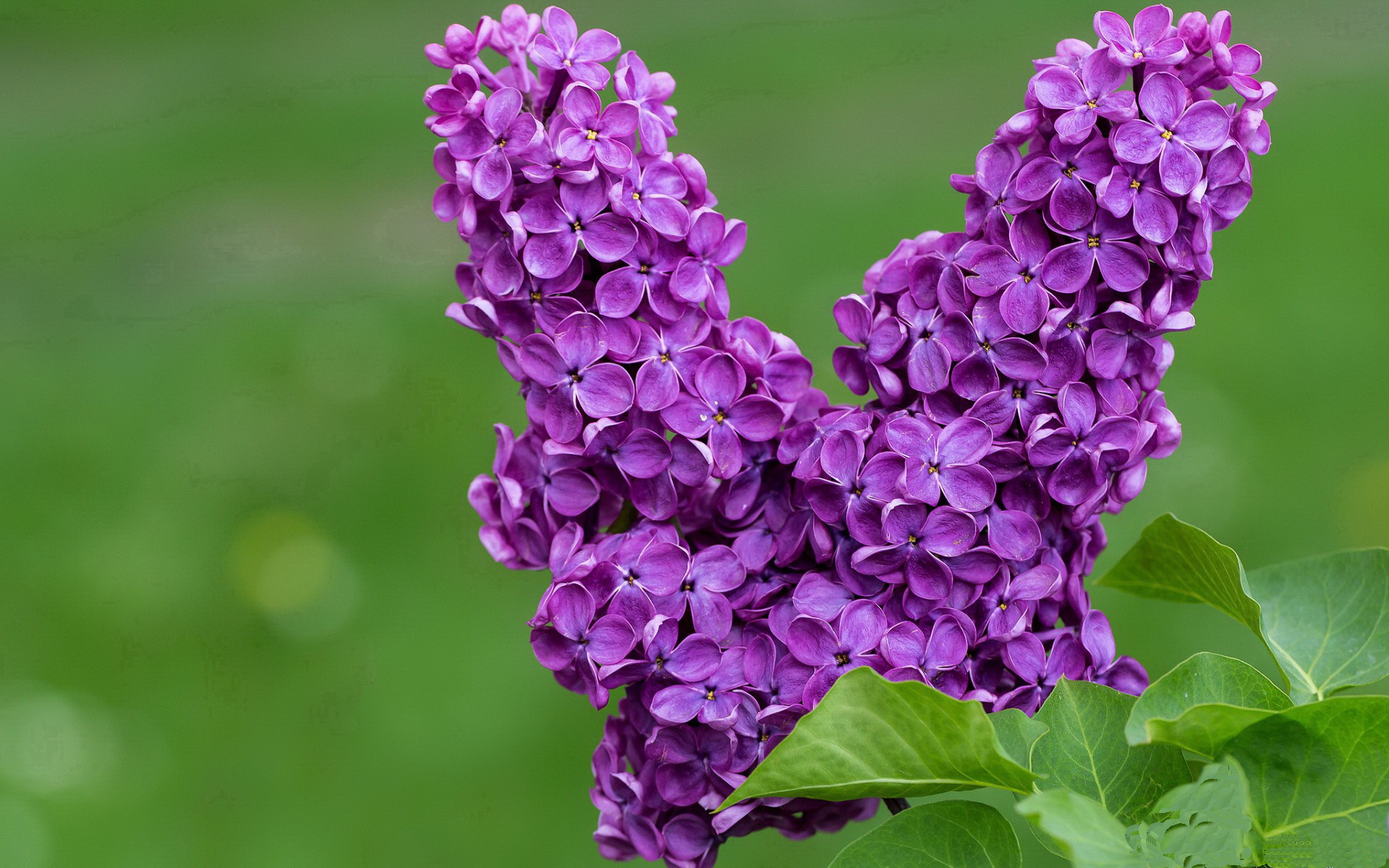 腾讯电竞赛事推动区域电竞品牌建设，腾讯电竞在哪个城市