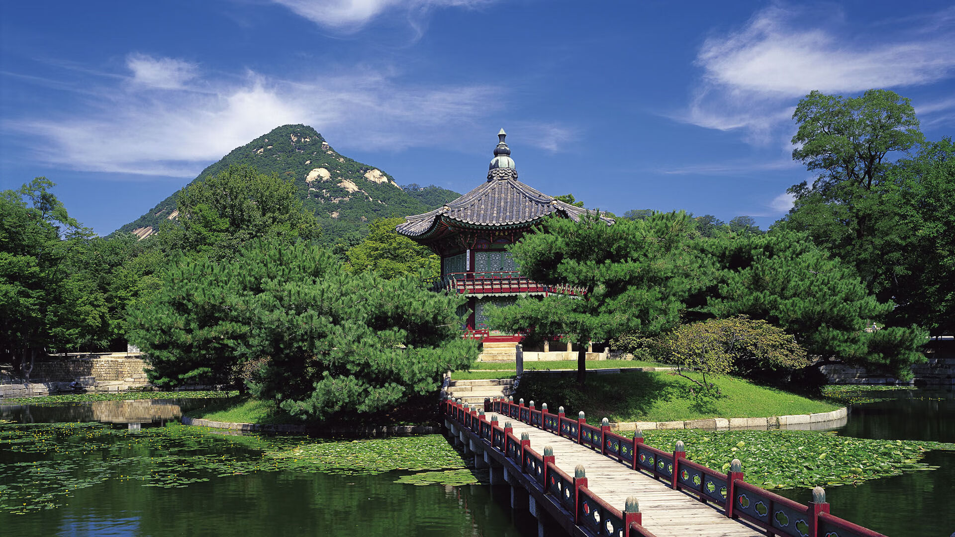 米兰体育下载-运动能力发展平台数据可视化技术应用分析，运动能力发展平台数据可视化技术应用分析报告