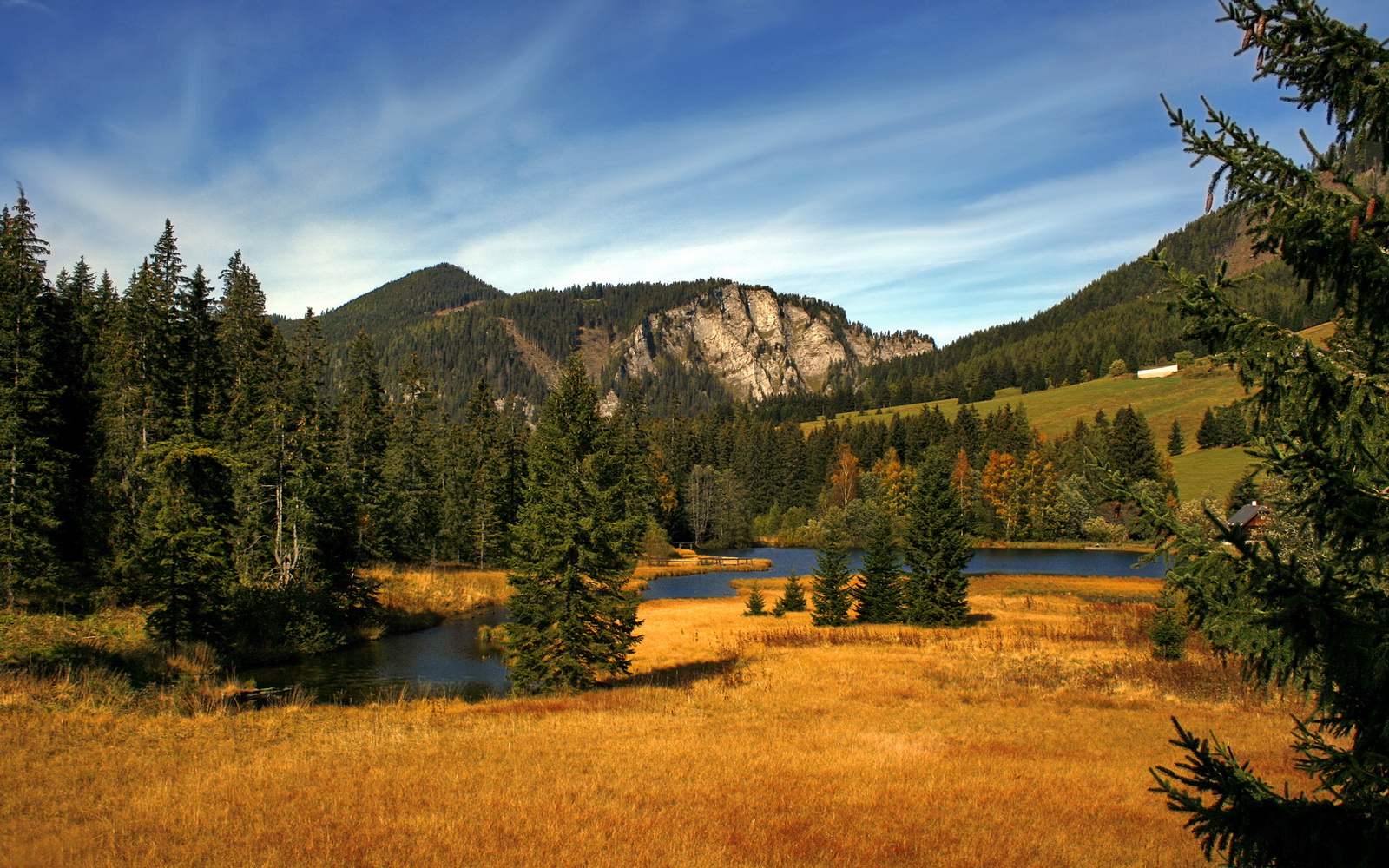 中国米兰体育-出发反应速度影响比赛结果分析，反应速度发展的最佳时期为