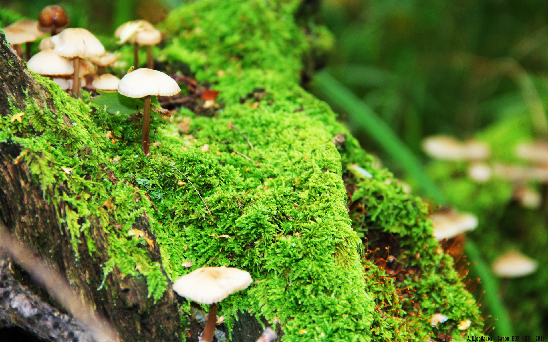 拜仁“包围圈”式压迫断掉节奏